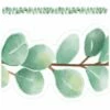 Eucalyptus Die Cut Border Trim - 12 Pieces