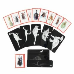 Insect & Dinosaur X-Rays - 96 Cards