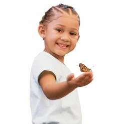 Butterfly Garden -Kids Toys Sales 2024 S285594 10