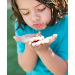 Butterfly Garden -Kids Toys Sales 2024 S285594 12