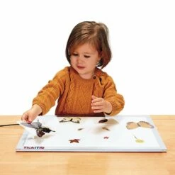 Excellerations® Laminated Specimen Set 28 Pieces -Kids Toys Sales 2024 S385136 2