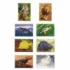 Excellerations® Animals In Their Biomes Puzzles - Set Of 8