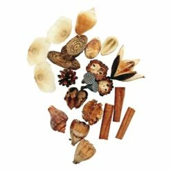 Sono Natural Specimens - 12 Types