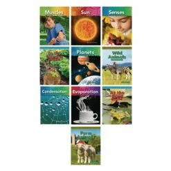STEM Kindergarten Book Set - 10 Titles