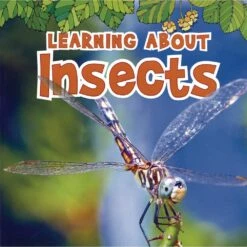 Science Vocabulary Paperback Books - 4 Titles -Kids Toys Sales 2024 S544218 1