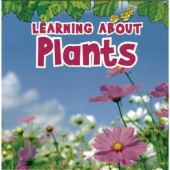 Science Vocabulary Paperback Books - 4 Titles -Kids Toys Sales 2024 S544218 2