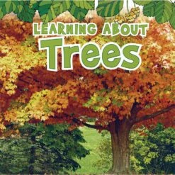 Science Vocabulary Paperback Books - 4 Titles -Kids Toys Sales 2024 S544218 3