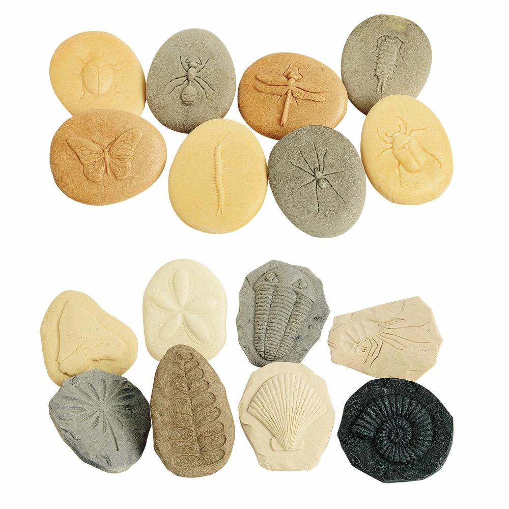 Bug & Fossil Set - 16 Pieces 1 Bug & Fossil Set - 16 Pieces
