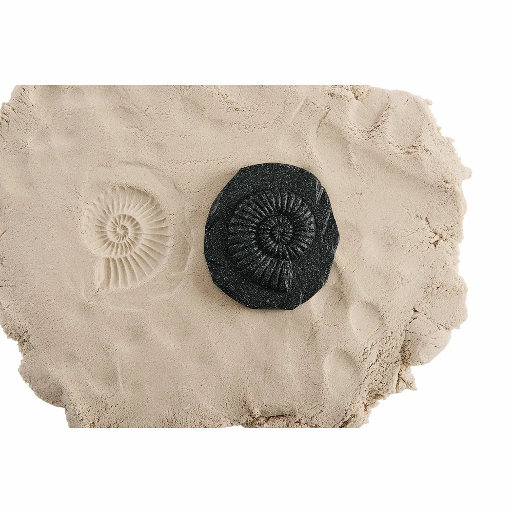 Bug & Fossil Set - 16 Pieces 4 Bug & Fossil Set - 16 Pieces - Image 4