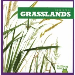 JUMP Ecosystems Books Set Of 8 -Kids Toys Sales 2024 S650652 2