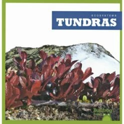 JUMP Ecosystems Books Set Of 8 -Kids Toys Sales 2024 S650652 6