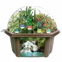 Sensory Eco-Biosphere -Kids Toys Sales 2024 S687711 0