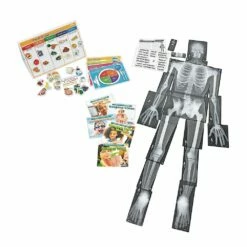 Excellerations® Science Kit - Health And Human Body