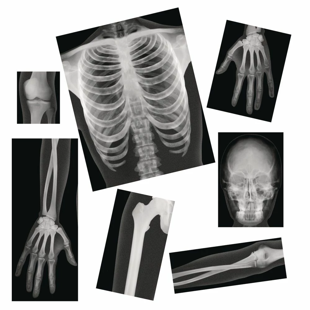 Excellerations® Science Kit - Health And Human Body 3 Excellerations® Science Kit - Health And Human Body - Image 3