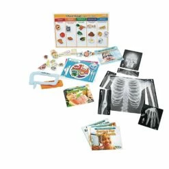 Excellerations® Science Kit - Health And Human Body 11 Excellerations® Science Kit - Health And Human Body -Kids Toys Sales 2024 S699994 4
