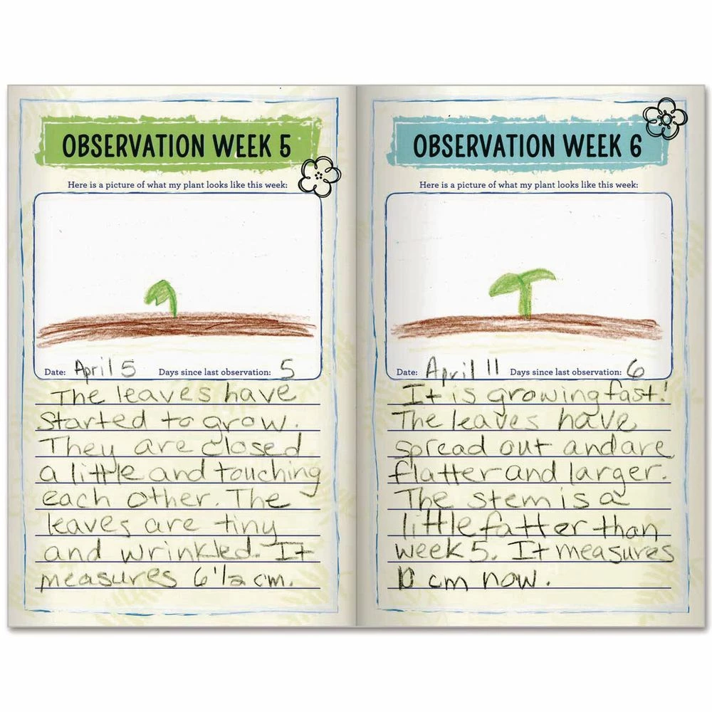 Plant Observation Journals And Wonder Soil Kit 2 Plant Observation Journals And Wonder Soil Kit - Image 2