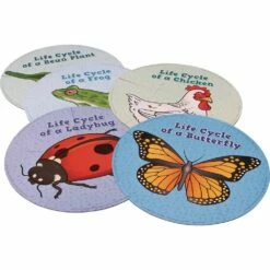 Really Good Stuff® Life Cycle Puzzles -Kids Toys Sales 2024 S710658 0