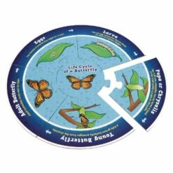 Really Good Stuff® Life Cycle Puzzles -Kids Toys Sales 2024 S710658 3