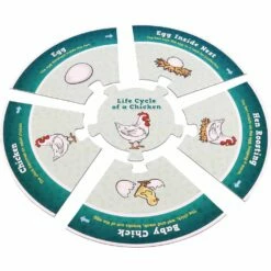 Really Good Stuff® Life Cycle Puzzles -Kids Toys Sales 2024 S710658 4