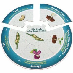 Really Good Stuff® Life Cycle Puzzles -Kids Toys Sales 2024 S710658 5