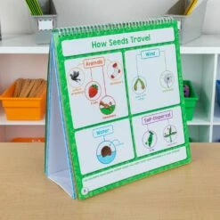 Enhance Science Lessons With This Jam-Packed Flip Book -Kids Toys Sales 2024 S728498 6
