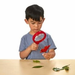 Learning Resources Primary Science® Jumbo Magnifiers Set Of 6 -Kids Toys Sales 2024 S782740 2