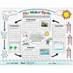 Ready-To-Decorate® The Water Cycle Posters - 24 Posters