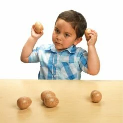 Sensory Sound Eggs -Kids Toys Sales 2024 S821896 2