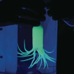 Steve Spangler Science® Science Learning Journals™ - SQUIDY™ The Cartesian Diver By Steve Spangler Science™ - 24 Journals -Kids Toys Sales 2024 S822622 5