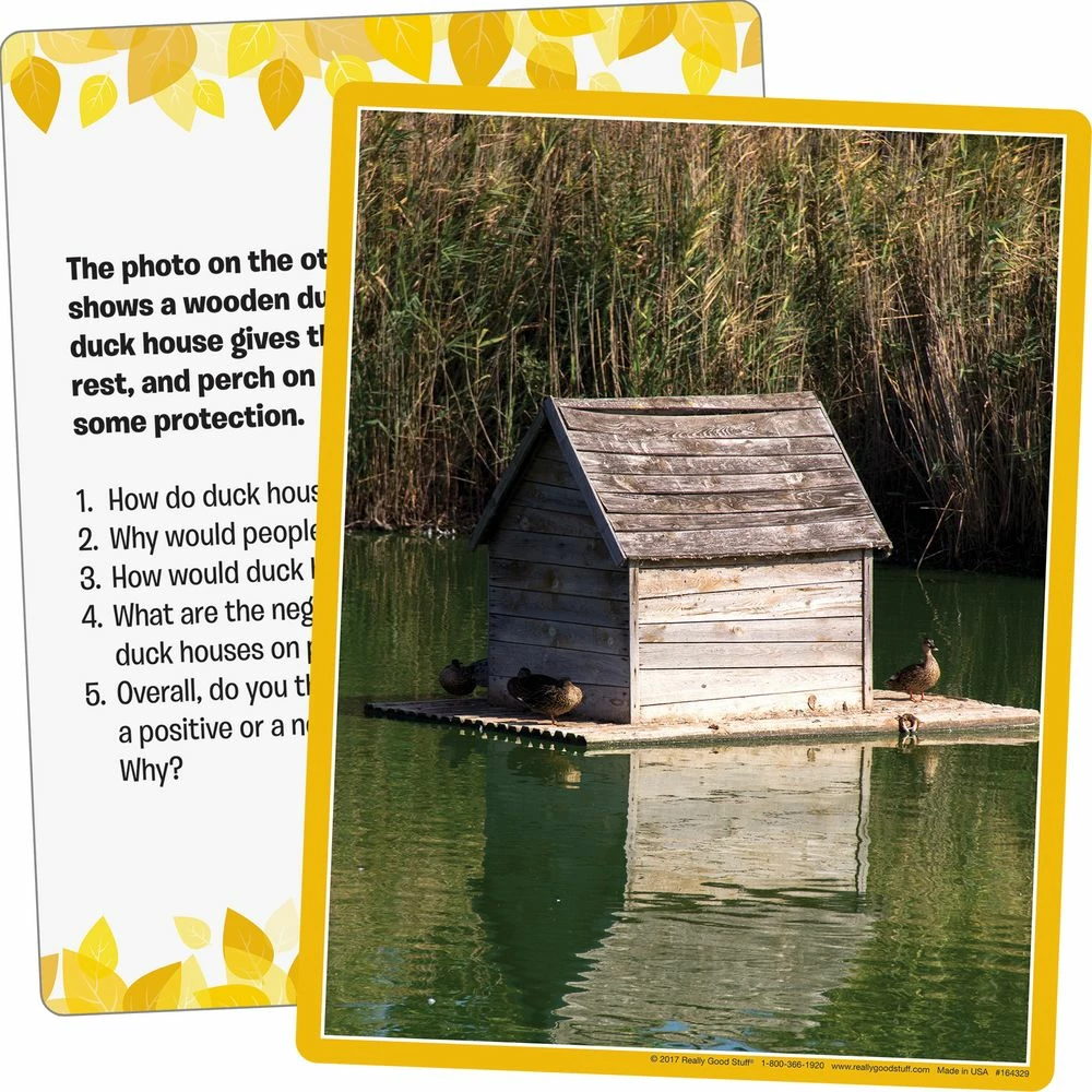 Environmental Impact Photo Cards - 25 Cards 1 Environmental Impact Photo Cards - 25 Cards