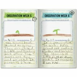 Plant Observation Journals - 24 Journals -Kids Toys Sales 2024 S824385 1