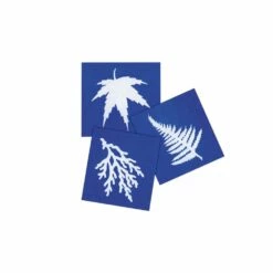 Steve Spangler Science® Nature Print Sun Paper (30 Pack)