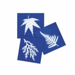 Steve Spangler Science® Nature Print Sun Paper (30 Pack) -Kids Toys Sales 2024 S946361 1