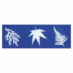 Steve Spangler Science® Nature Print Sun Paper (30 Pack) -Kids Toys Sales 2024 S946361 3