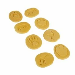 Let's Investigate - Safari Footprints Set Of 8
