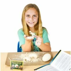 National Geographic Dino Egg Dig Science Education Kit -Kids Toys Sales 2024 S954755 1