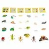 Life Cycle Figurines - 24 Pieces