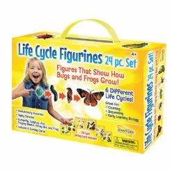 Life Cycle Figurines - 24 Pieces -Kids Toys Sales 2024 S981273 0