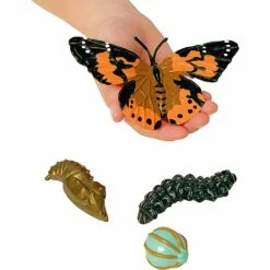 Life Cycle Figurines - 24 Pieces -Kids Toys Sales 2024 S981273 1