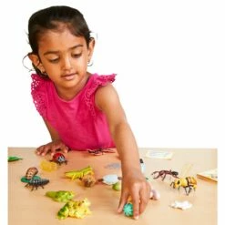 Life Cycle Figurines - 24 Pieces -Kids Toys Sales 2024 S981273 3